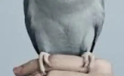 رحلة شغف صنعت هوية